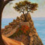 Monterey Tree